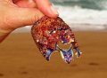 Pic (311)